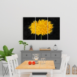 Toile 24 x 36 - Chrysanthème jaune