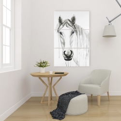 Toile 24 x 36 - Cheval blanc solitaire