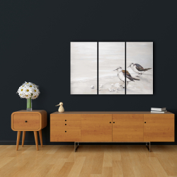 Canvas 24 x 36 - Two sandpipiers birds