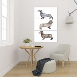 Toile 24 x 36 - Petits chiens teckel