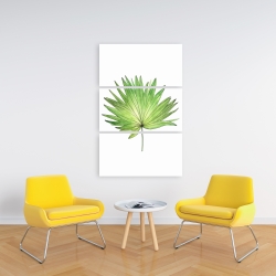 Canvas 24 x 36 - Petticoat palm