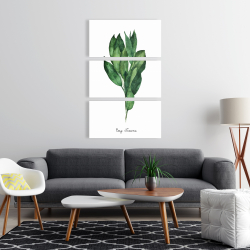 Canvas 24 x 36 - Bay leaves bundle -en