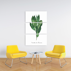 Canvas 24 x 36 -  bay leaves bundle - fr