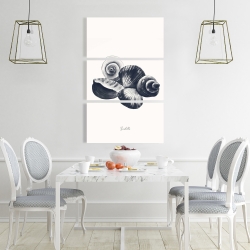 Canvas 24 x 36 - Blue seaside shells