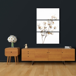 Toile 24 x 36 - Une branche de fleurs de coton