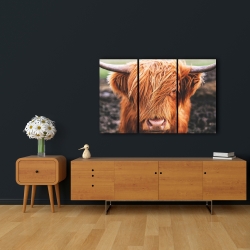 Toile 24 x 36 - Vache highland portrait