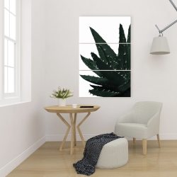 Canvas 24 x 36 - Aloe plant