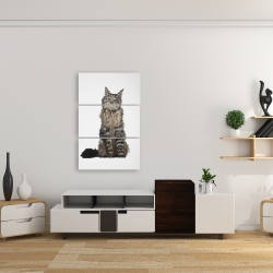 Canvas 24 x 36 - Maine coon cat