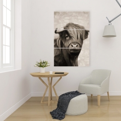 Canvas 24 x 36 - Highland cattle sepia