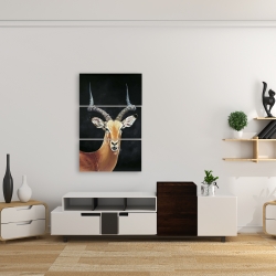 Toile 24 x 36 - Antilope