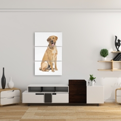 Canvas 24 x 36 - Labrador retriever