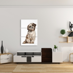 Canvas 24 x 36 - Shih-tzu