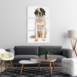 Canvas 24 x 36 - Saint bernard