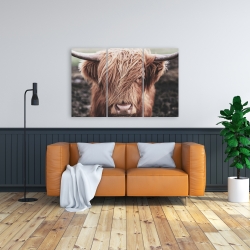 Canvas 24 x 36 - Desaturated highland cow