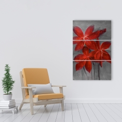 Canvas 24 x 36 - Asiatic lily
