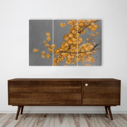 Canvas 24 x 36 - Golden wattle plant with pugg ball flowers