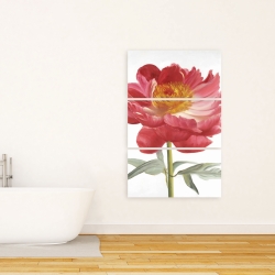 Canvas 24 x 36 - Pink peony