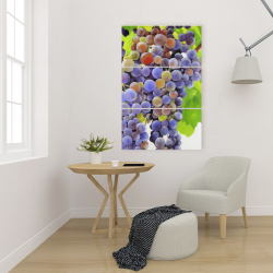 Toile 24 x 36 - Bouquet de raisins