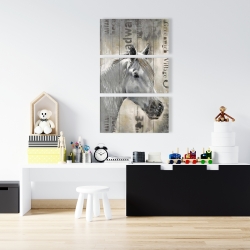 Canvas 24 x 36 - Rustic white horse