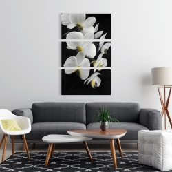 Canvas 24 x 36 - Beautiful orchids
