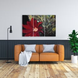 Toile 24 x 36 - Fleur rouge de cactus echinopsis