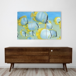 Canvas 24 x 36 - Butterfly fishes