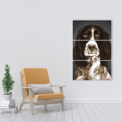 Canvas 24 x 36 - Brown english springer spaniel