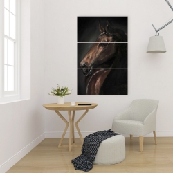 Canvas 24 x 36 - Spirit the horse