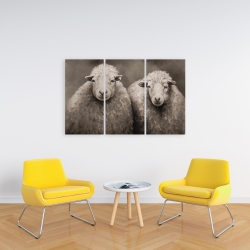 Canvas 24 x 36 - Sheep sepia