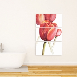 Canvas 24 x 36 - Blossoming tulips closeup