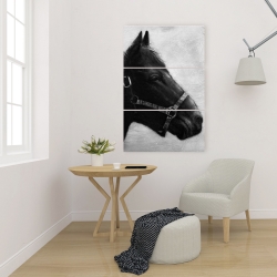 Canvas 24 x 36 - Gallopin the horse