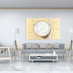 Canvas 40 x 60 - Sand-dollar