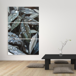 Canvas 40 x 60 - Leaves after rain