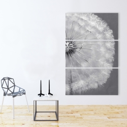 Canvas 40 x 60 - Dandelion puff ball