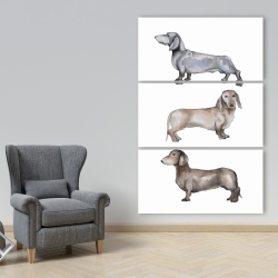 Toile 40 x 60 - Petits chiens teckel