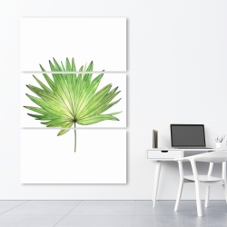 Canvas 40 x 60 - Petticoat palm