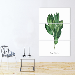 Canvas 40 x 60 - Bay leaves bundle -en