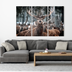 Toile 40 x 60 - Cerfs