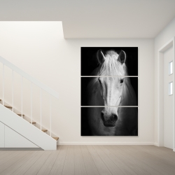 Canvas 40 x 60 - Monochrome horse