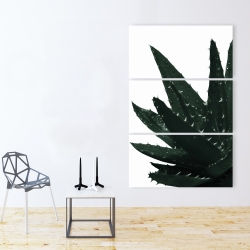 Canvas 40 x 60 - Aloe plant