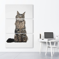 Canvas 40 x 60 - Maine coon cat