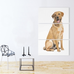 Canvas 40 x 60 - Labrador retriever