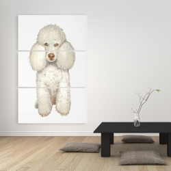 Canvas 40 x 60 - French poodle