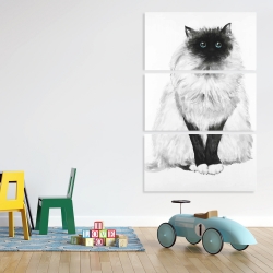 Toile 40 x 60 - Chat siamois poilu