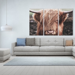 Canvas 40 x 60 - Desaturated highland cow