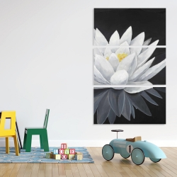 Toile 40 x 60 - Fleur de lotus et sa réflexion