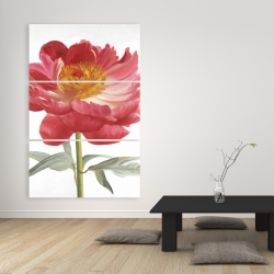 Canvas 40 x 60 - Pink peony