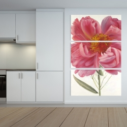 Toile 40 x 60 - Fleur de pivoine rose