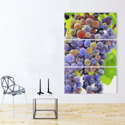 Toile 40 x 60 - Bouquet de raisins