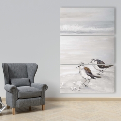 Canvas 40 x 60 - Two sandpipiers birds